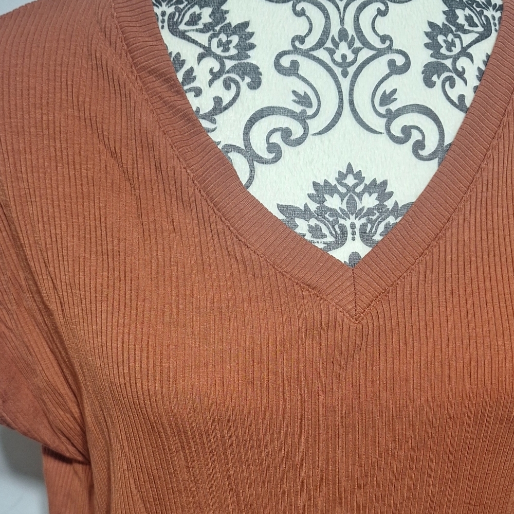Lrg Rust Orange V-Neck Dress - Picture 3 of 5